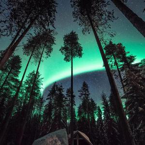 艳妇荡岳丰满做爰
